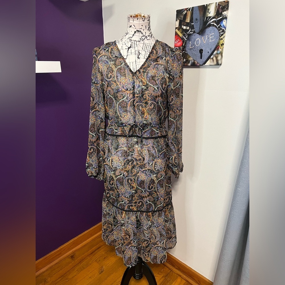 7 for $30 Express Sheer Long Sleeve Paisley Print Dress